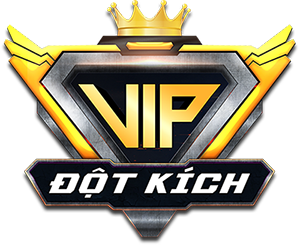 Đột Kích